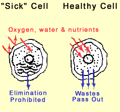 Sick Cell vs Healthy Cell